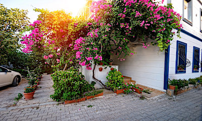 Bahçe Manzaralı Daire